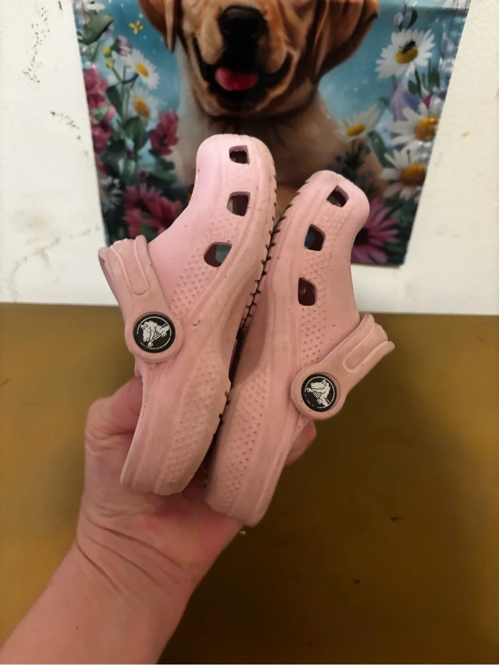 CROCS Kids Classic Clog in Pink